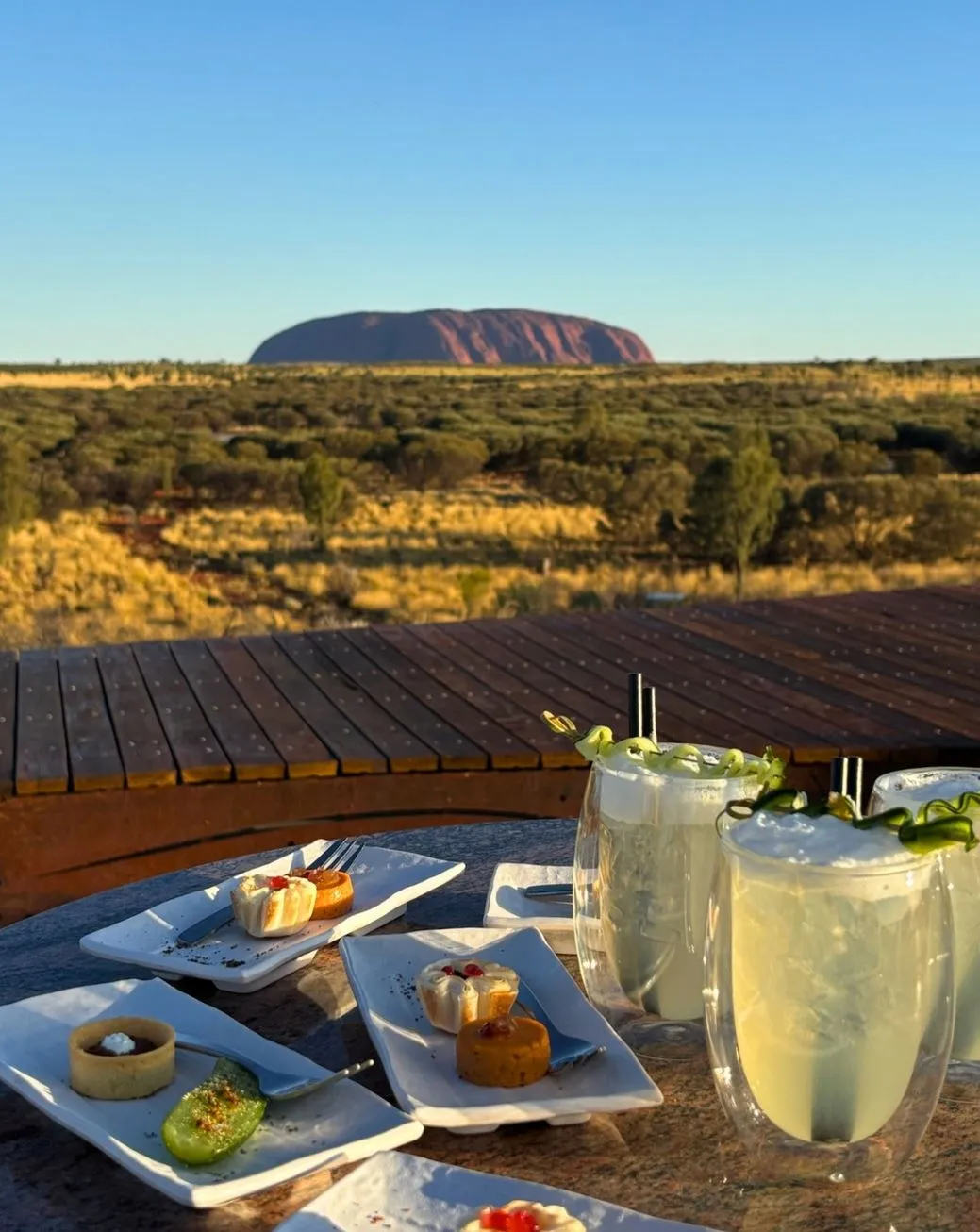 Steel Feather Lace Elephant | Where Can I Try Bush Tucker Cuisine in Uluru? 4 day Alice Springs Uluru Tour