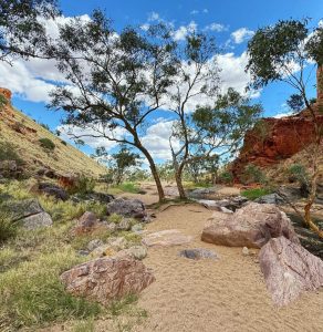 Camping in the West MacDonnell Ranges