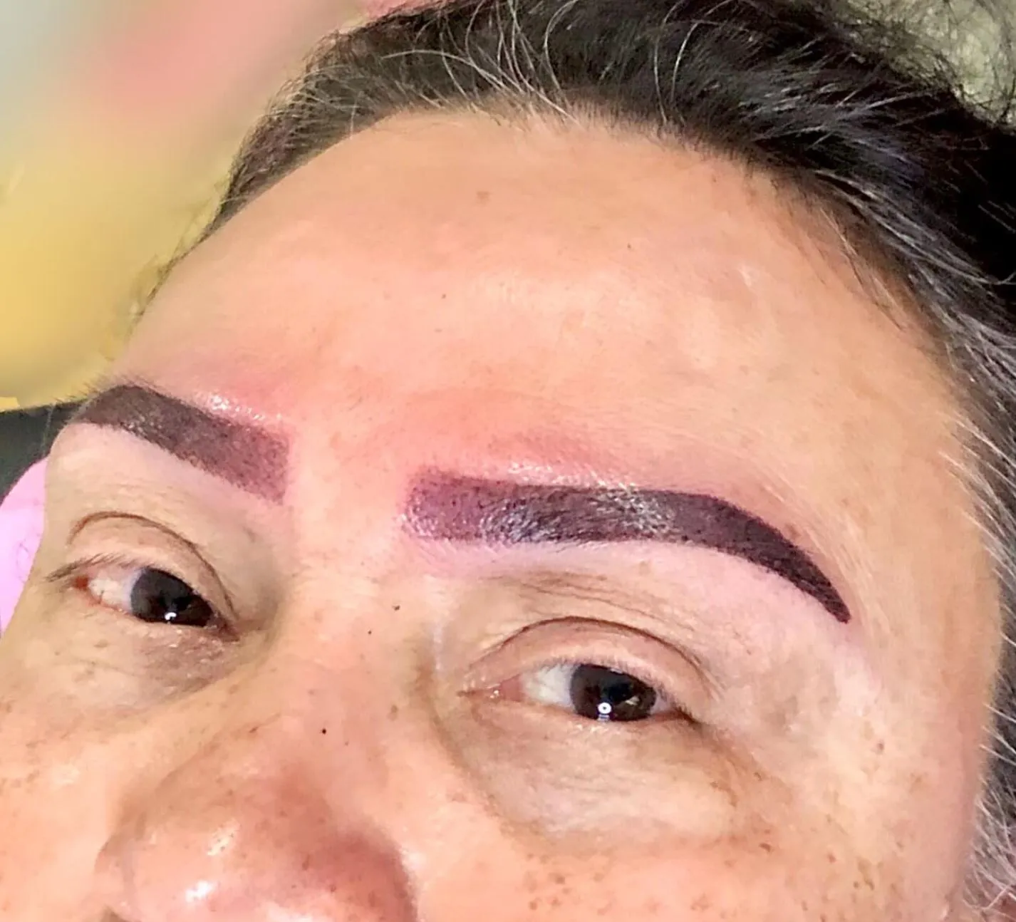 Steel Feather Lace Elephant | Is It Possible to Refresh Overdone Brow Tattoos on Mature Faces? Common Myths About Corrective Brow Tattooing
