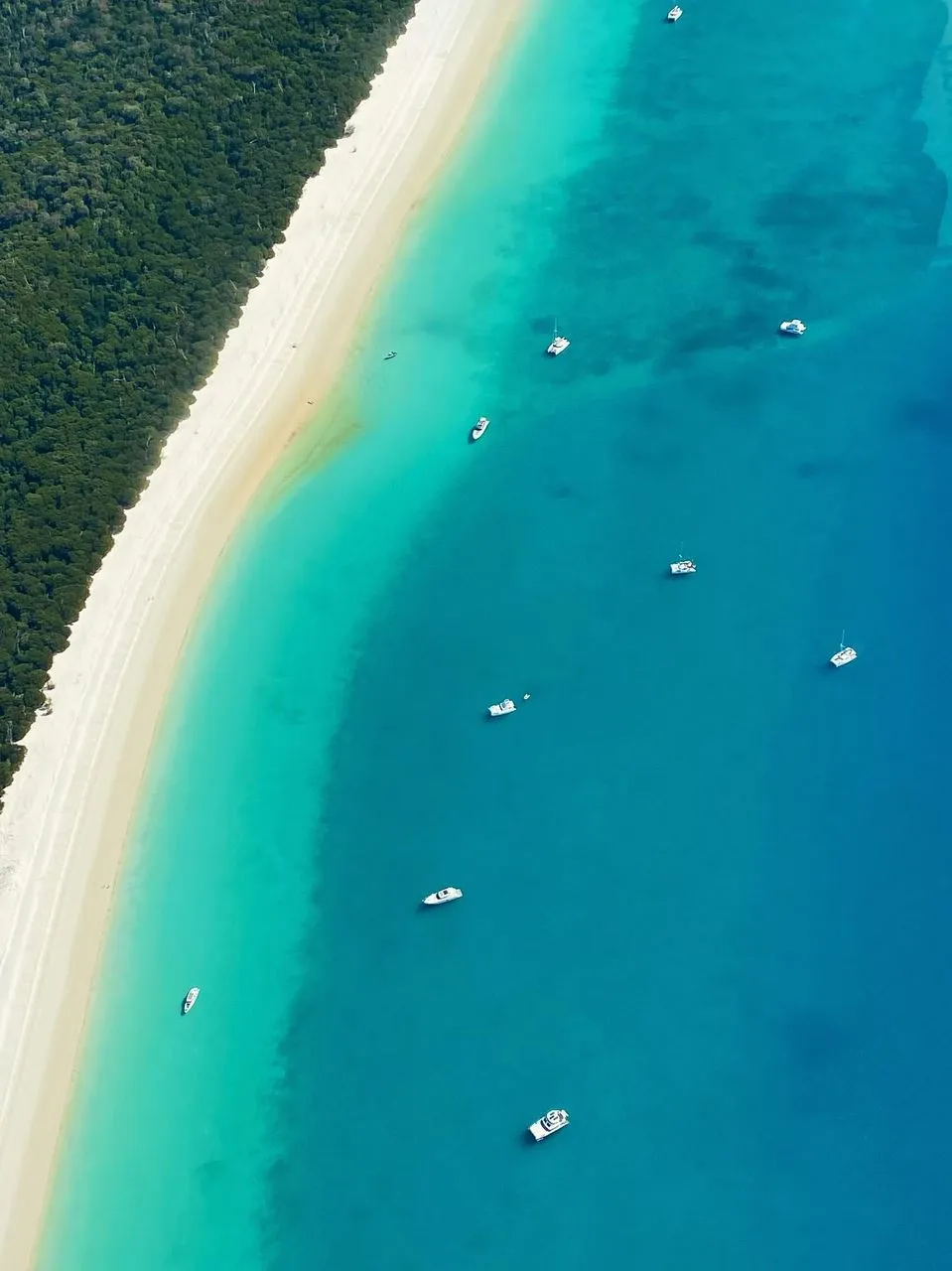 Great Barrier Reef Tour