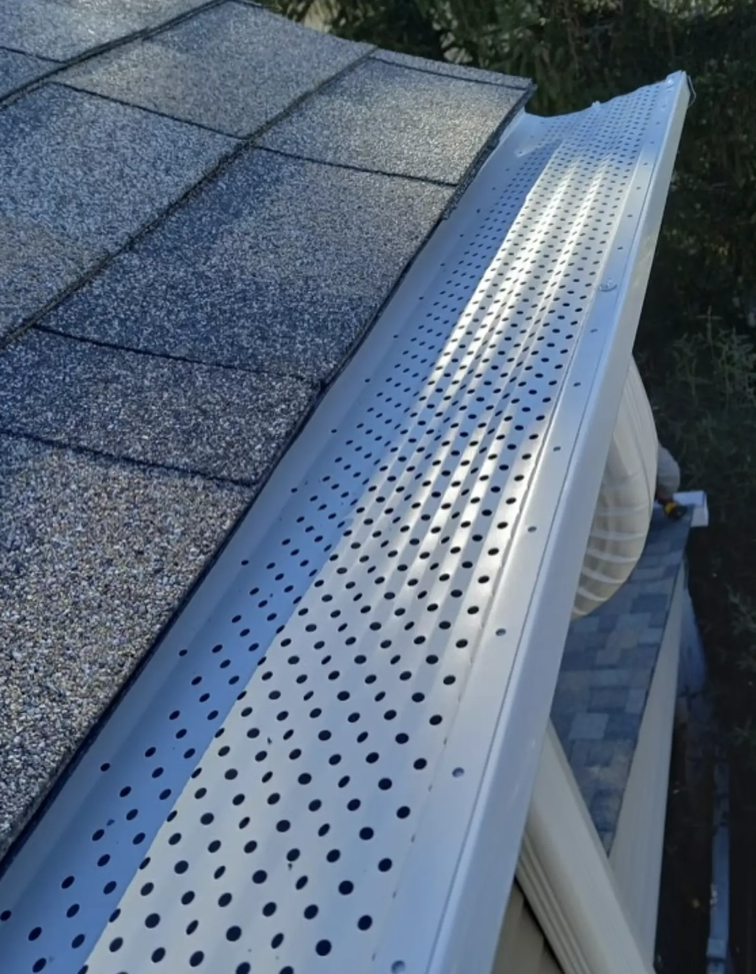 Steel Feather Lace Elephant | What Does Roof Cleaning Include? Gutter and Roof Cleaning