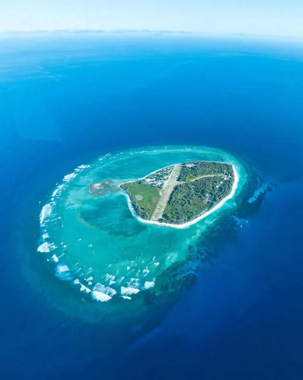 Lady Elliot Island