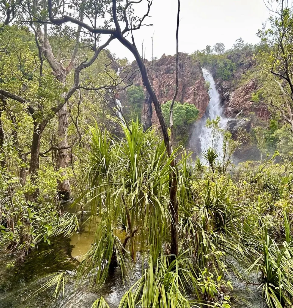 Litchfield National Park