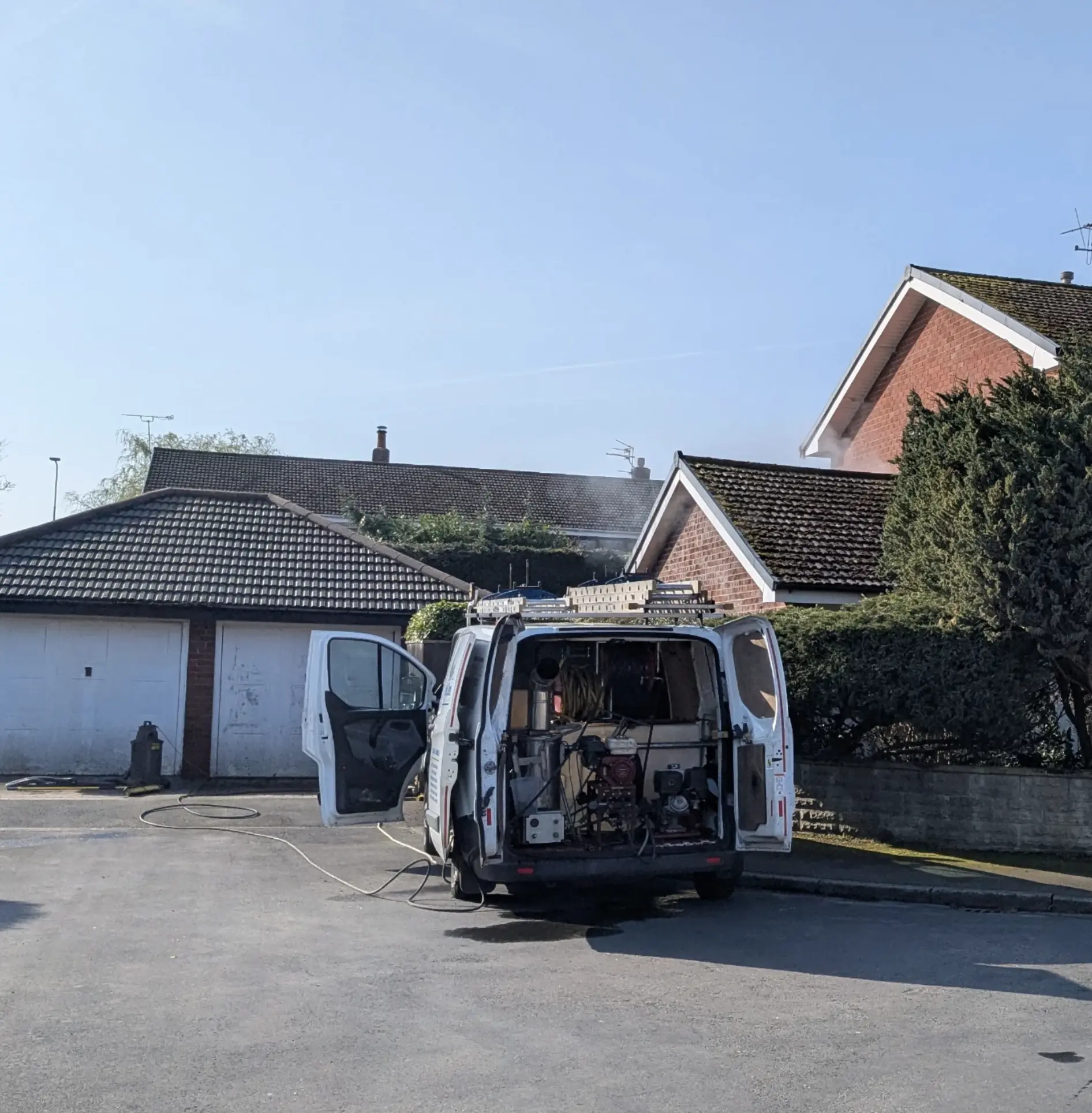 Steel Feather Lace Elephant | What Does Roof Cleaning Include? Moss and Lichen Removal