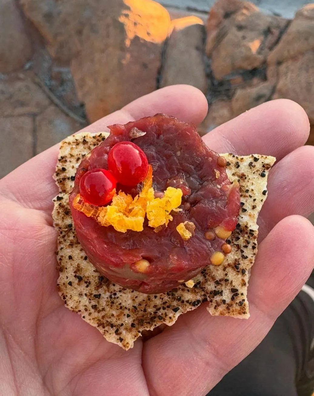 Steel Feather Lace Elephant | Where Can I Try Bush Tucker Cuisine in Uluru? Outback Flavours You Need to Try