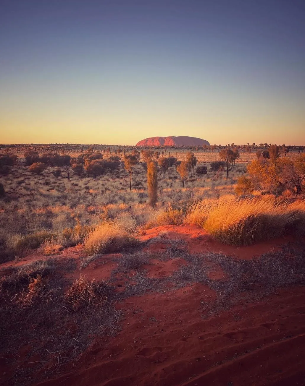 Steel Feather Lace Elephant | Wildlife to Spot (and Respect) Near Uluru Rock Arts, Ancient Tracks, and Cultural Layers