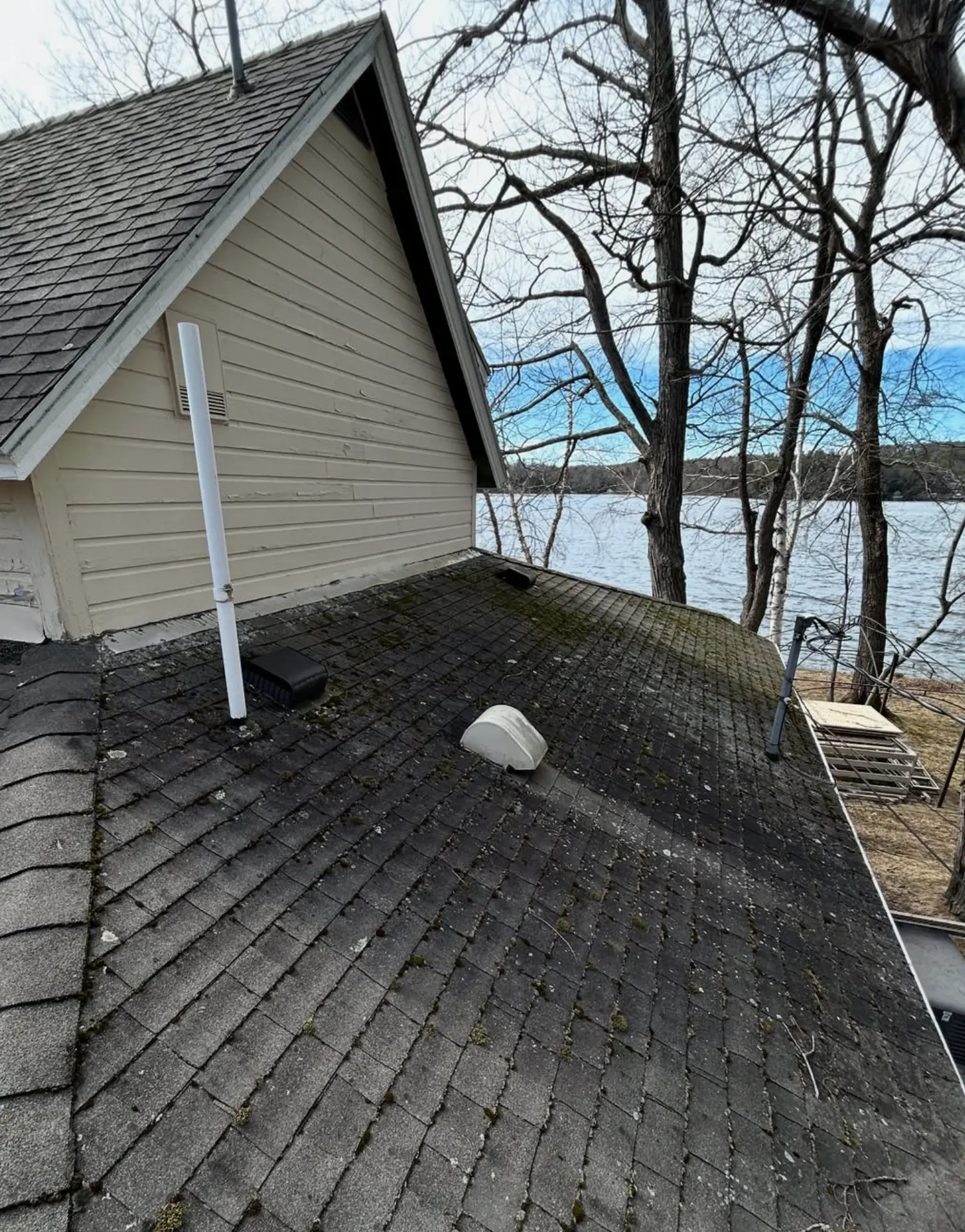 Steel Feather Lace Elephant | What Does Roof Cleaning Include? Roof Cleaning Process