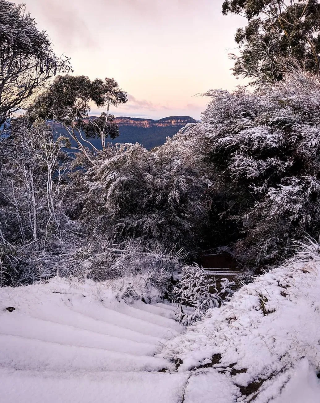 Scenic Spots That Turn Magic in Snow