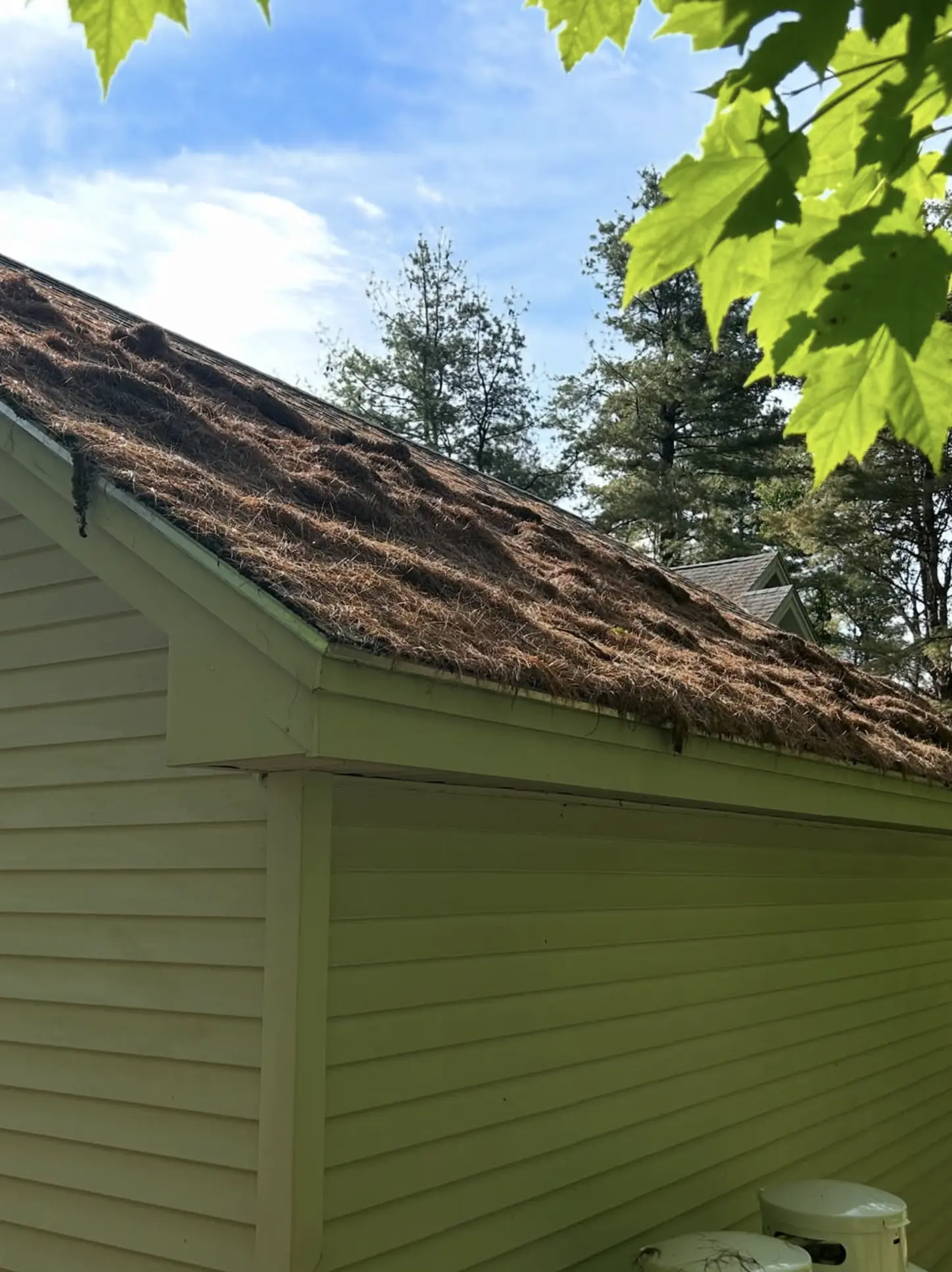 Steel Feather Lace Elephant | What Does Roof Cleaning Include? Soft Wash Melbourne
