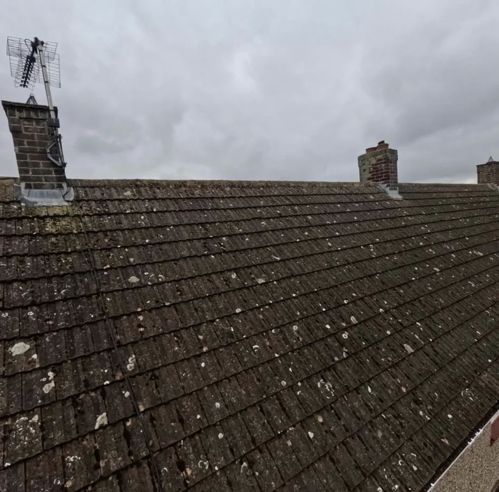 What Does Roof Cleaning Include?