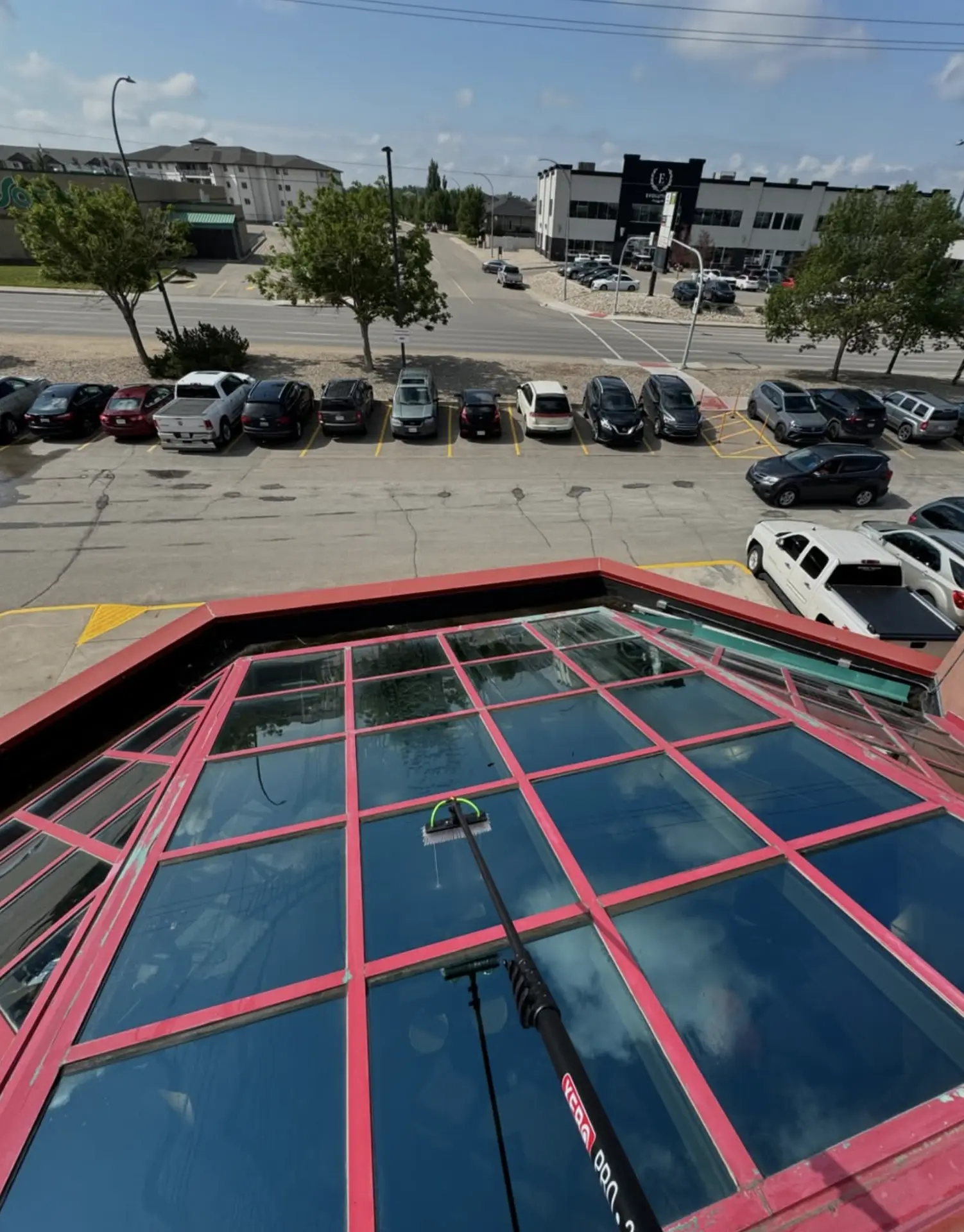 Steel Feather Lace Elephant | How often do high rises clean windows? high rise windows cleaning