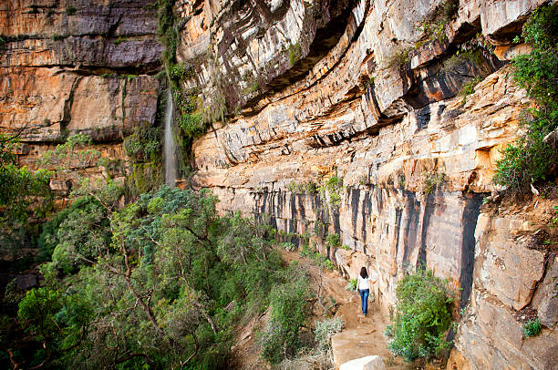 Steel Feather Lace Elephant | Hiking the Blue Mountains: A Comprehensive Hiker's Guide to Trails & Tips