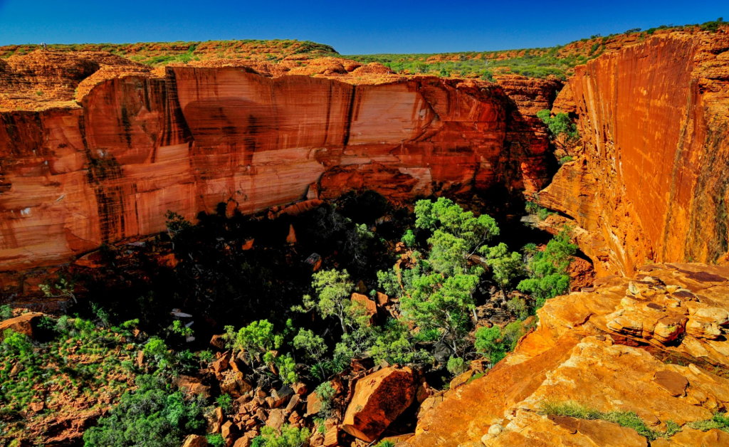 Steel Feather Lace Elephant | Explore Kings Canyon: Epic Trails, Cultural Insights, and Hiking Tips