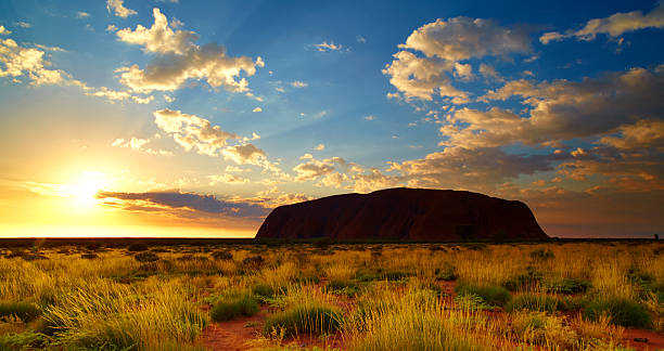 Steel Feather Lace Elephant | Discover Uluru's Secrets: Cultural Significance, Geology & Tourist Ethics