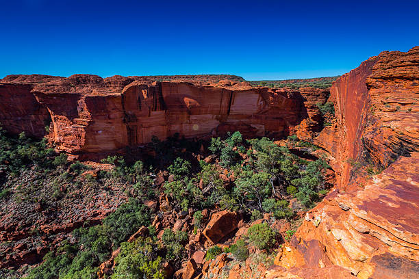 Explore Kings Canyon National Park: Majestic Canyons, Wilderness & Adventure