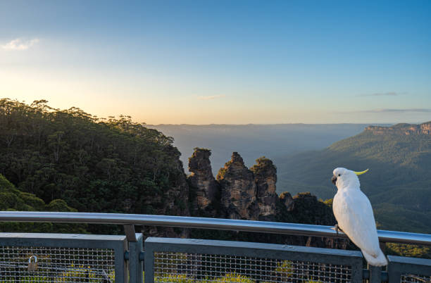 Family Adventure Guide: Discovering the Wonders of the Blue Mountains