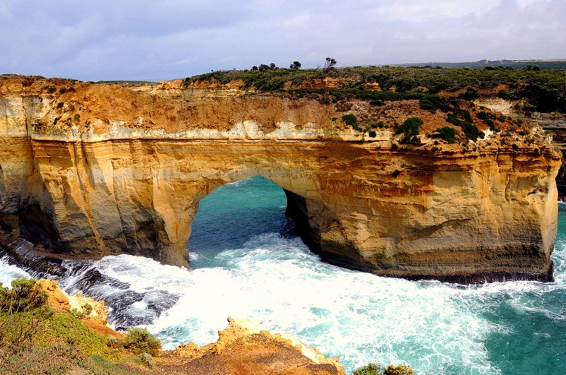 Steel Feather Lace Elephant | Explore the Great Ocean Road: Australia's Scenic Coastal Journey