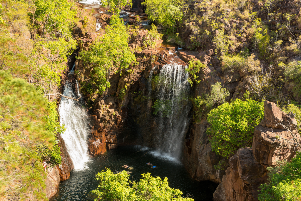 Steel Feather Lace Elephant | Discover Litchfield National Park's Waterfalls: An Explorer's Guide