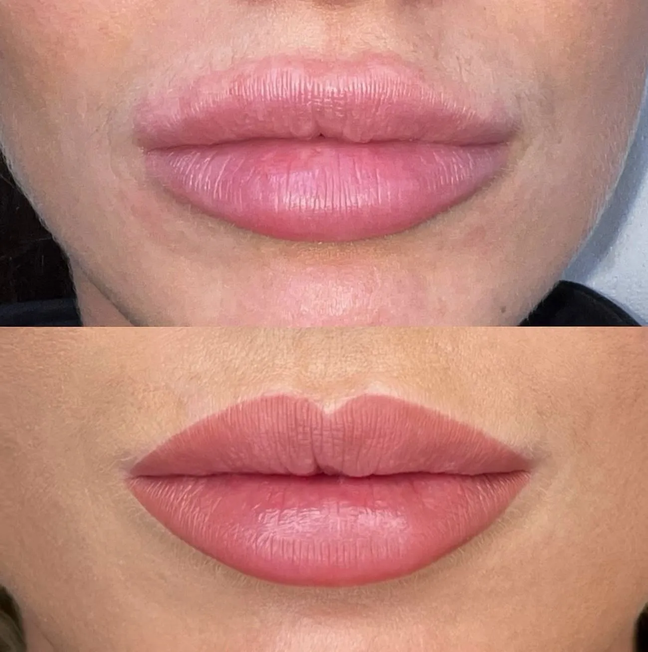 Steel Feather Lace Elephant | Can You Kiss After Lip Blushing? lip blushing in Melbourne