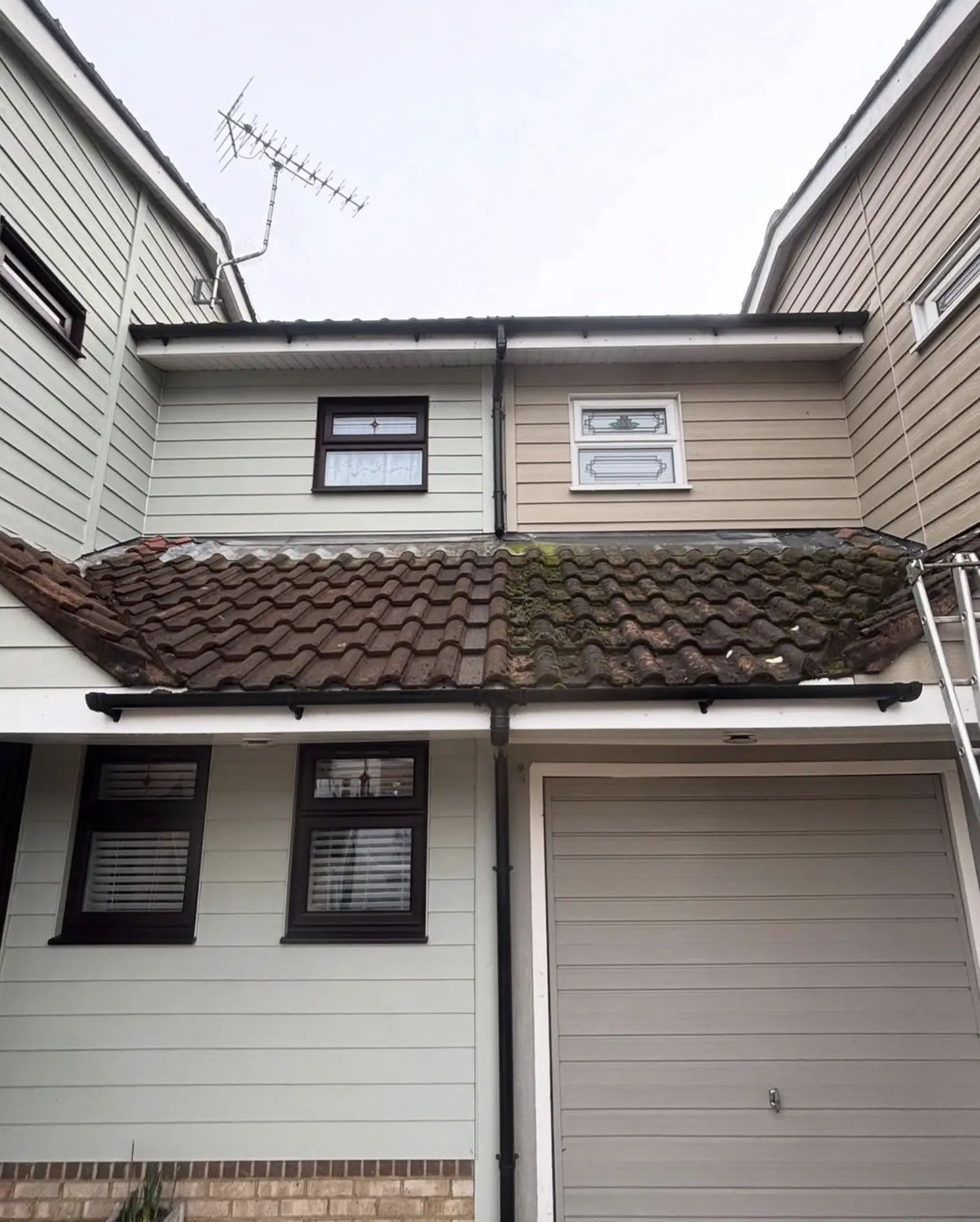 Steel Feather Lace Elephant | Do window cleaners work in winter? window cleaners winter